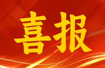 喜报 | 海诺尔环保集团荣获2025垃圾焚烧发电“行业”五项大奖，彰显卓越综合实力